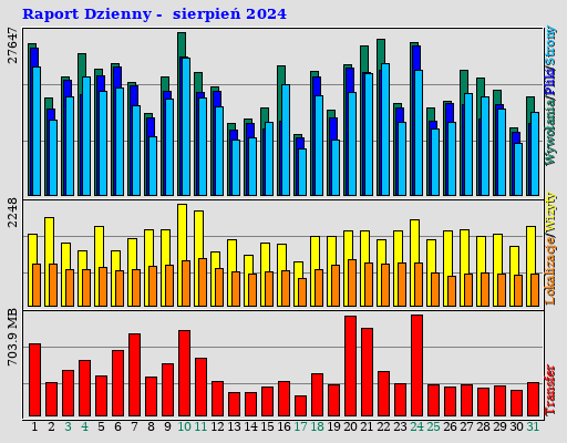 Raport Dzienny - sierpień 2024
