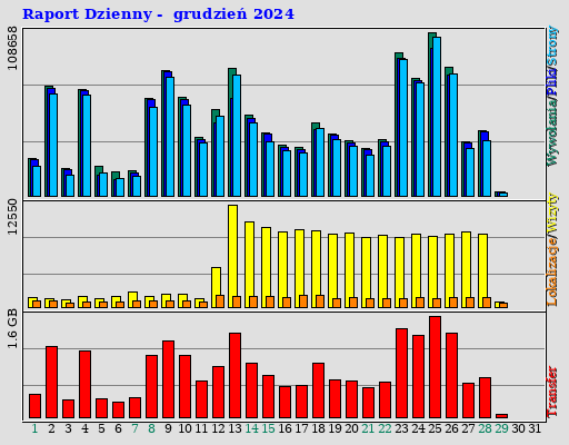 Raport Dzienny - grudzień 2024