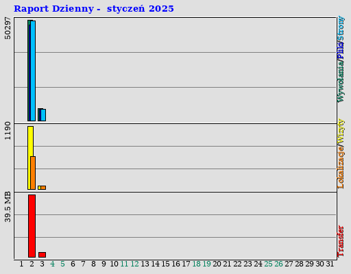 Raport Dzienny - styczeń 2025