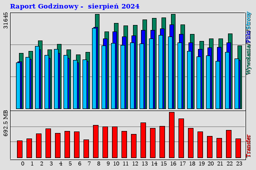 Raport Godzinowy - sierpień 2024