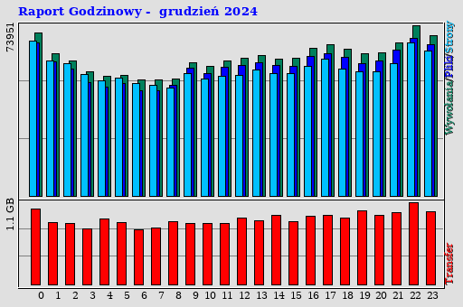 Raport Godzinowy - grudzień 2024